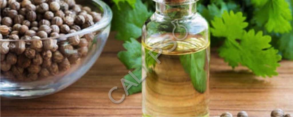 Comprar aceite esencial de cilantro